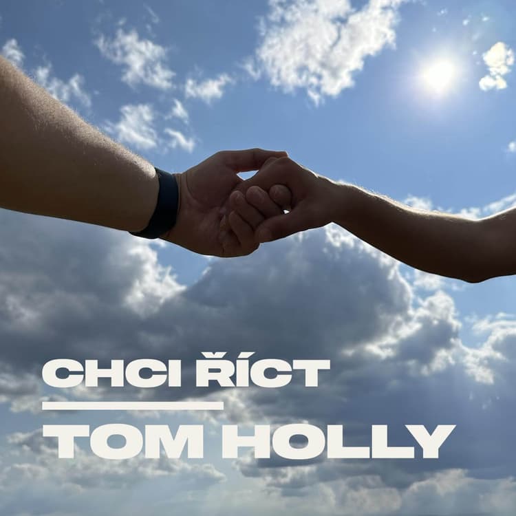 Tom Holly - Chci říct